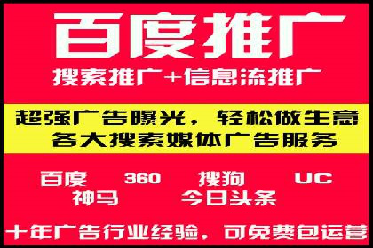 百度广告投放策略：成功案例解析